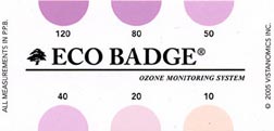 Ozone detector test card