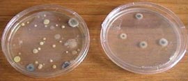 Test results - before and after using the Air Oasis