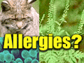 Allergies? Negative ions can help.
